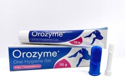 Orozyme chews best sale