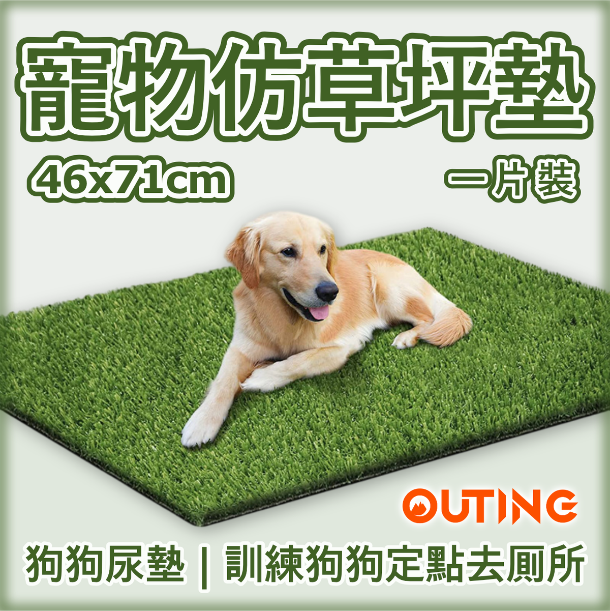 仿草皮寵物廁所(46x71cm) | 狗狗尿墊 草坪墊 | 人造草坪 | 訓練狗狗定點如厠