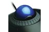 Orbit® Trackball with Scroll Ring K75337WW  Black