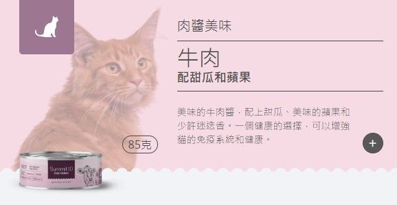 Summit 10 - 無穀物天然貓貓罐頭 (牛肉+蜜瓜+蘋果) 85g 1