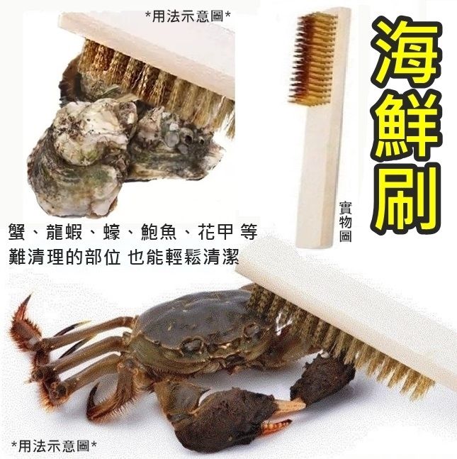 Shellfish Brush 全城熱賣 | Seafood Cleaning Brush (Crab, Lobster, Abalone, Oyster) parallel ...