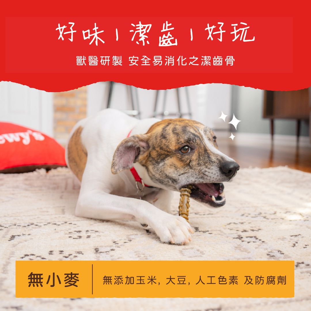 Stella & Chewy's | 超小型犬凍乾放養雞4合1趣味潔齒骨10.5oz 44pcs ...