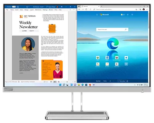 Lenovo L27i-40 27" Monitor