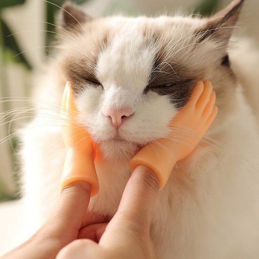 全城熱賣 | Pet Massage Finger Cots and Cat Gloves | HKTVmall The Largest HK  Shopping Platform