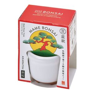 The BONSAI - SEISHIN PLUS