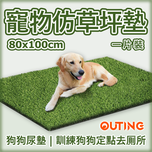 pet training grass mat