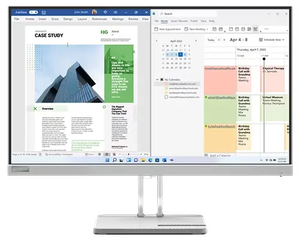 Lenovo L25e-40 24.5" Monitor