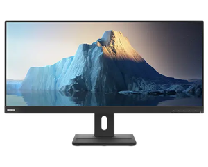 Lenovo ThinkVision E29w-20 29-inch WFHD LED Backlit LCD Monitor