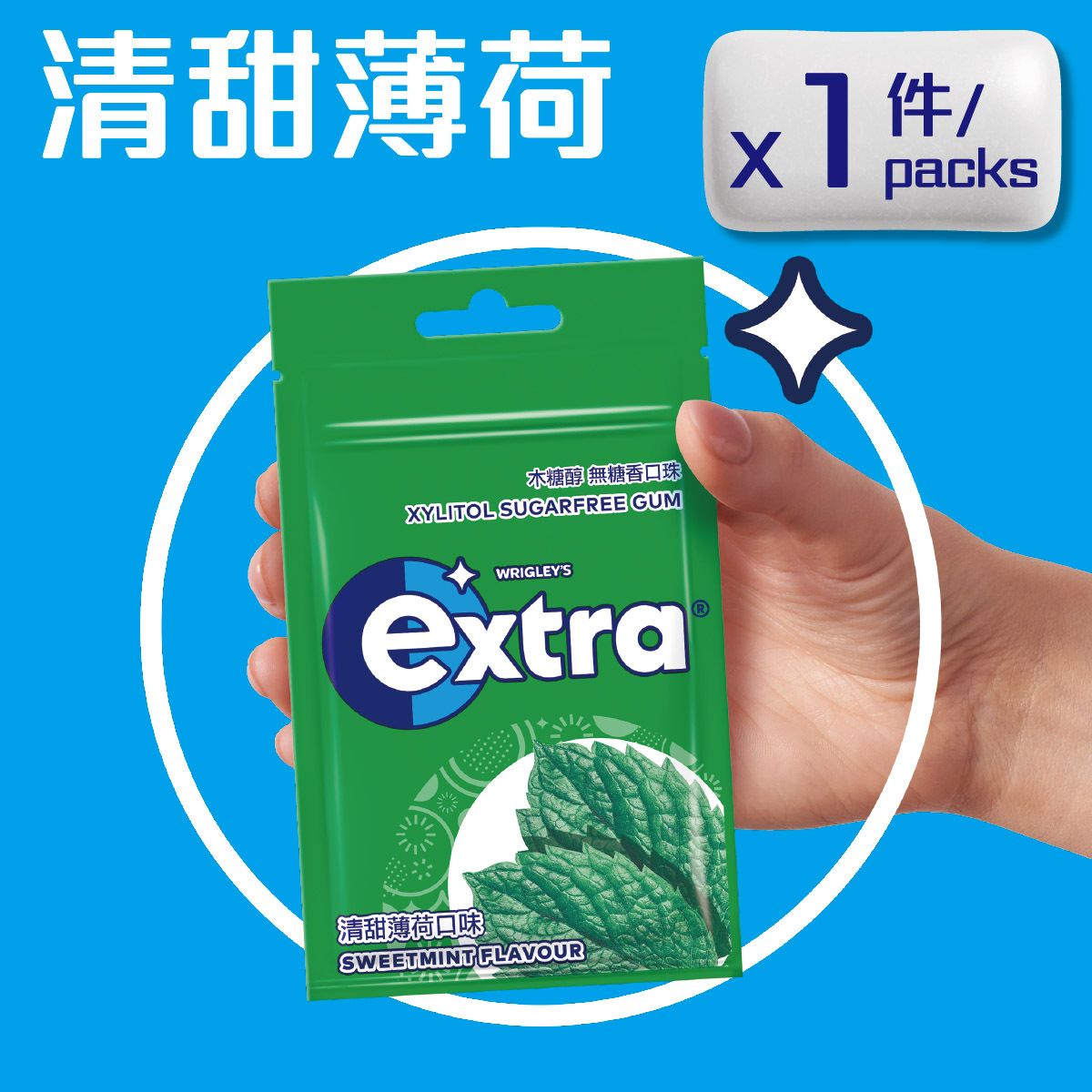 Xylitol Sugarfree Chewing Gum - Sweetmint Flavour (Refill)