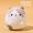 Japanese PU flocked kitten elastic decompression doll(Parallel Import)
