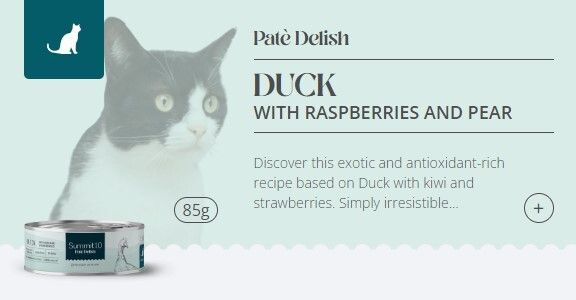 Summit 10 - 無穀物天然貓貓罐頭 (鴨肉+紅莓+梨) 85g 3
