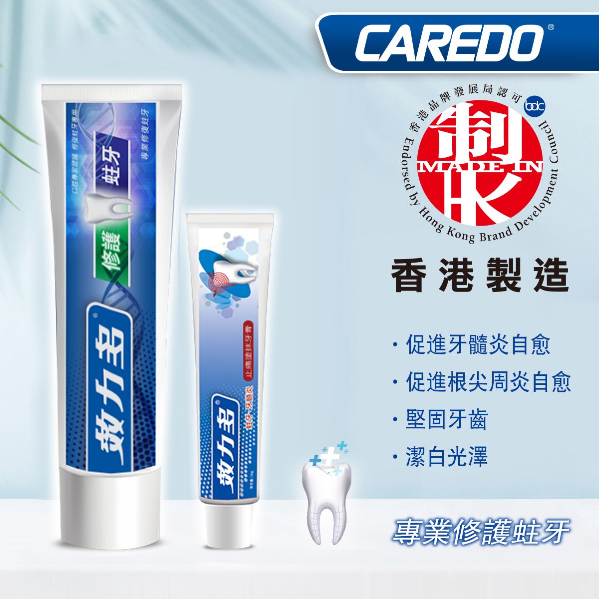 專業修護蛀牙牙膏 + 止痛塗抹牙膏  (新舊包裝隨機發送)