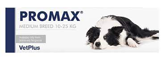 Promax Digestive Supplement For Dogs 益生菌止瀉劑 (10kg-25kg) 18ml
