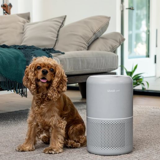 Levoit pet air purifier hotsell