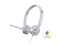Lenovo 100 Stereo Analogue Headset