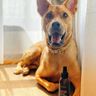 Natural Citronella Guard Insect Repellent Spray for Dogs 125mL