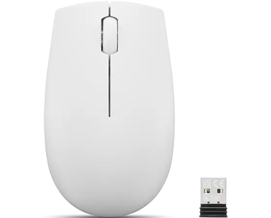 300 Wireless Compact Mouse | GX30K79401 | IN