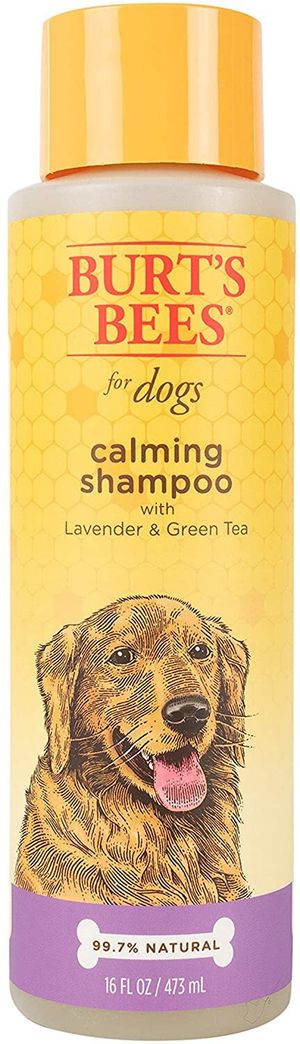 colloidal oatmeal dogs