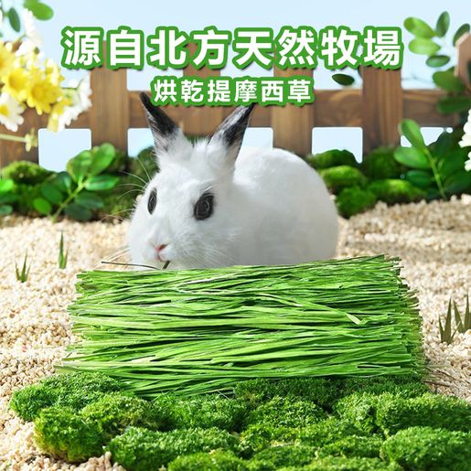 Rabbit food grass best sale