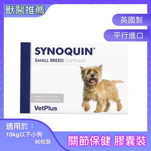 Synoquin dog outlet