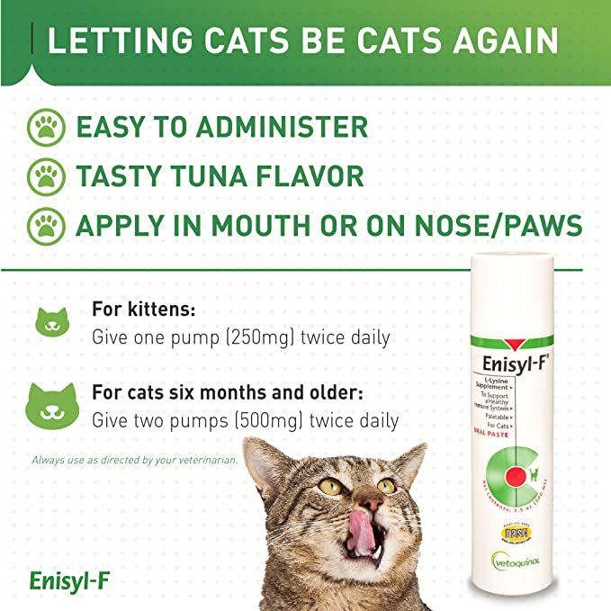 Vetoquinol | Enisyl-F® Oral Paste for Cats (Lysine) [US Version] 100ml -  Cat Supplement | HKTVmall The Largest HK Shopping Platform