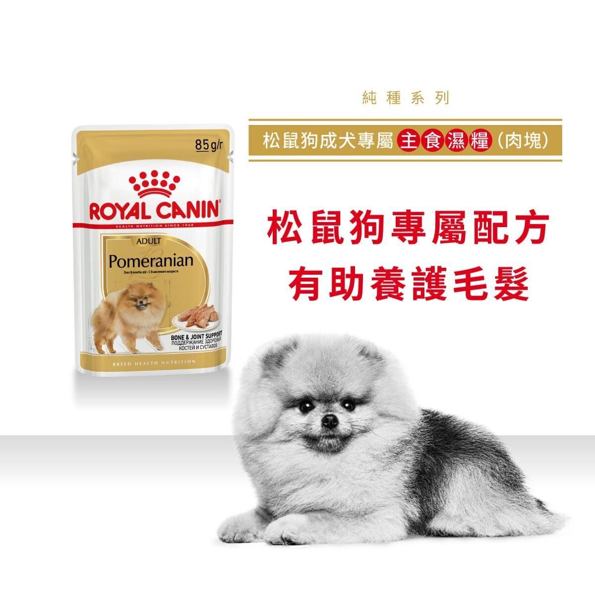 BHN 松鼠狗 成犬 專屬主食 濕糧 (肉塊) 85克 ROYAL CANIN狗濕糧