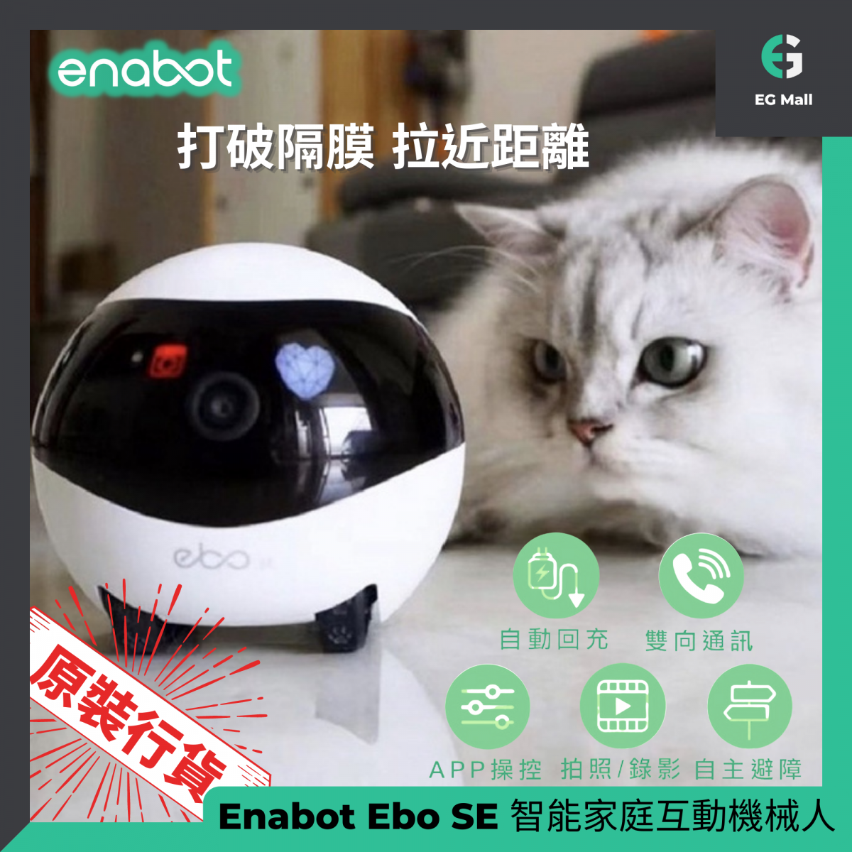 Enabot Ebo SE 智能家庭互動機械人 寵物 CCTV 寵物錄影機 貓 狗 毛孩錄影機 自動巡航 實時監控 收音咪 揚聲器 實時通訊 雙頻 Wi Fi