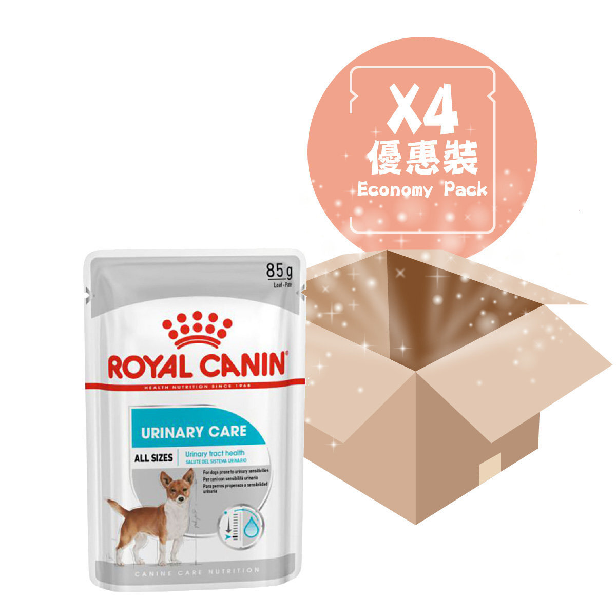 [4PCS SET]CCN Urinary Care Dog Food Loaf 85G
