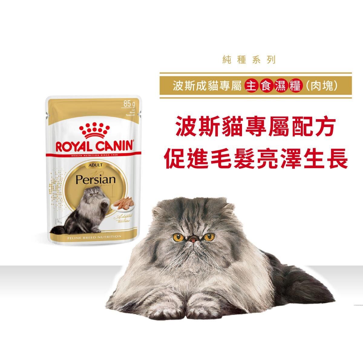 FBN 波斯貓 成貓 專屬主食濕糧 (肉塊) 85克 ROYAL CANIN貓濕糧