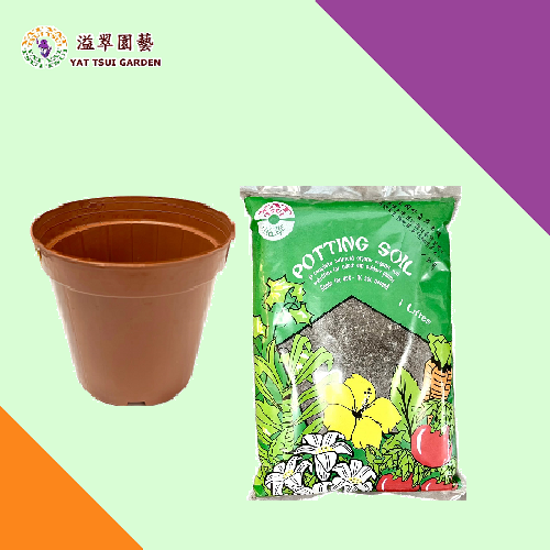 園藝種植套裝 ( 有機土壤花泥 1L + 園藝用花盆 )