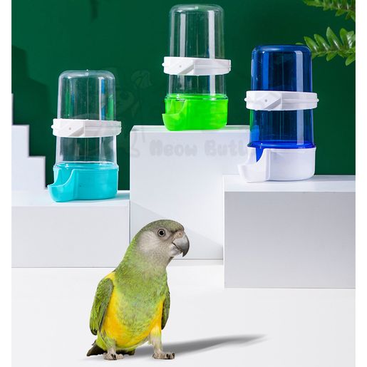 Pet bird water clearance dispenser