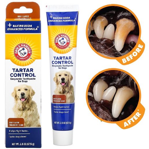 Arm and hammer enzymatic toothpaste for dogs sale