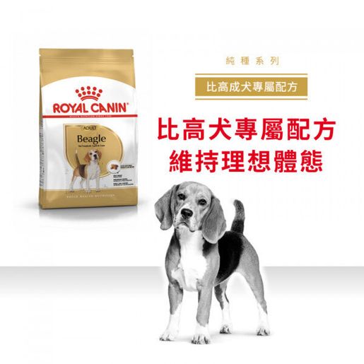 Royal canin best sale beagle 3kg