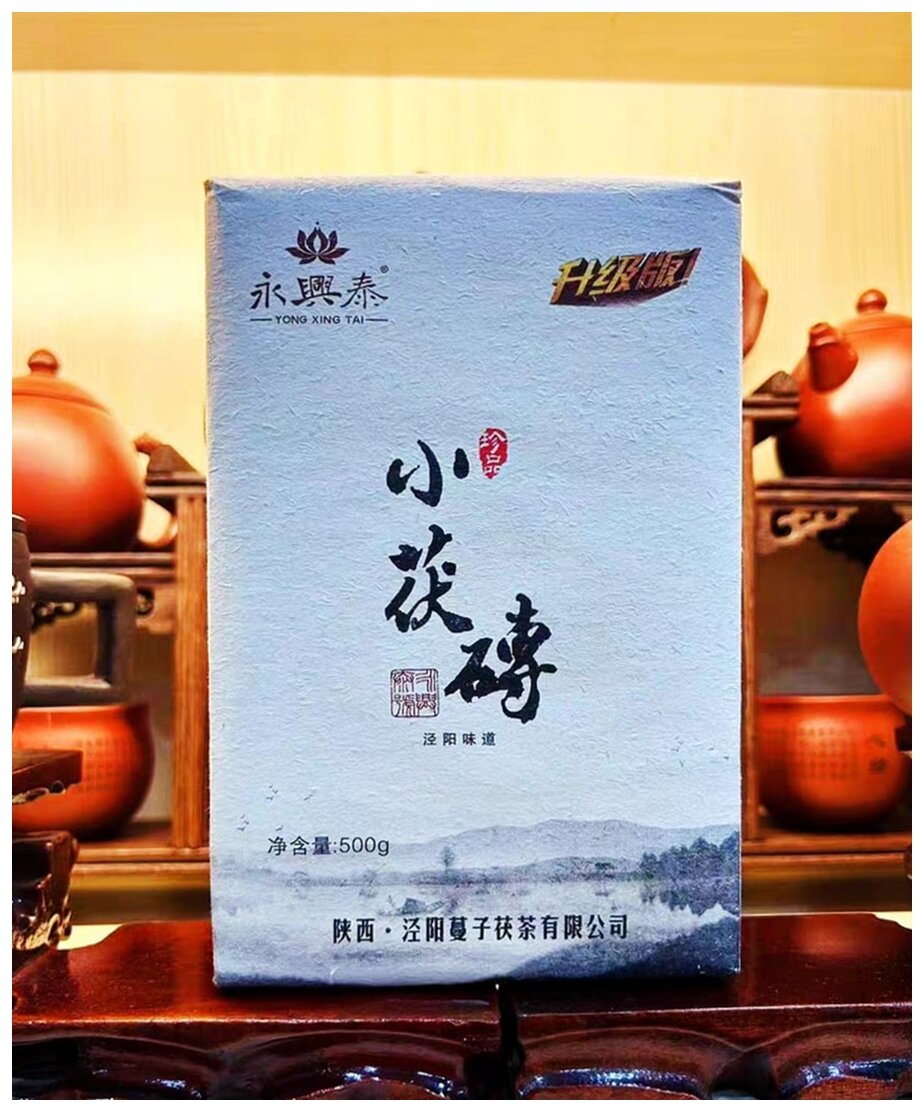 Others | 茯磚茶，500克（平行進口） | HKTVmall 香港最大網購平台