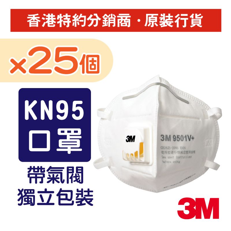 (25 pcs) 9501V+ KN95/P2 Particulate Respirator with Cool Flow Valve Mask Adult (9501V+)