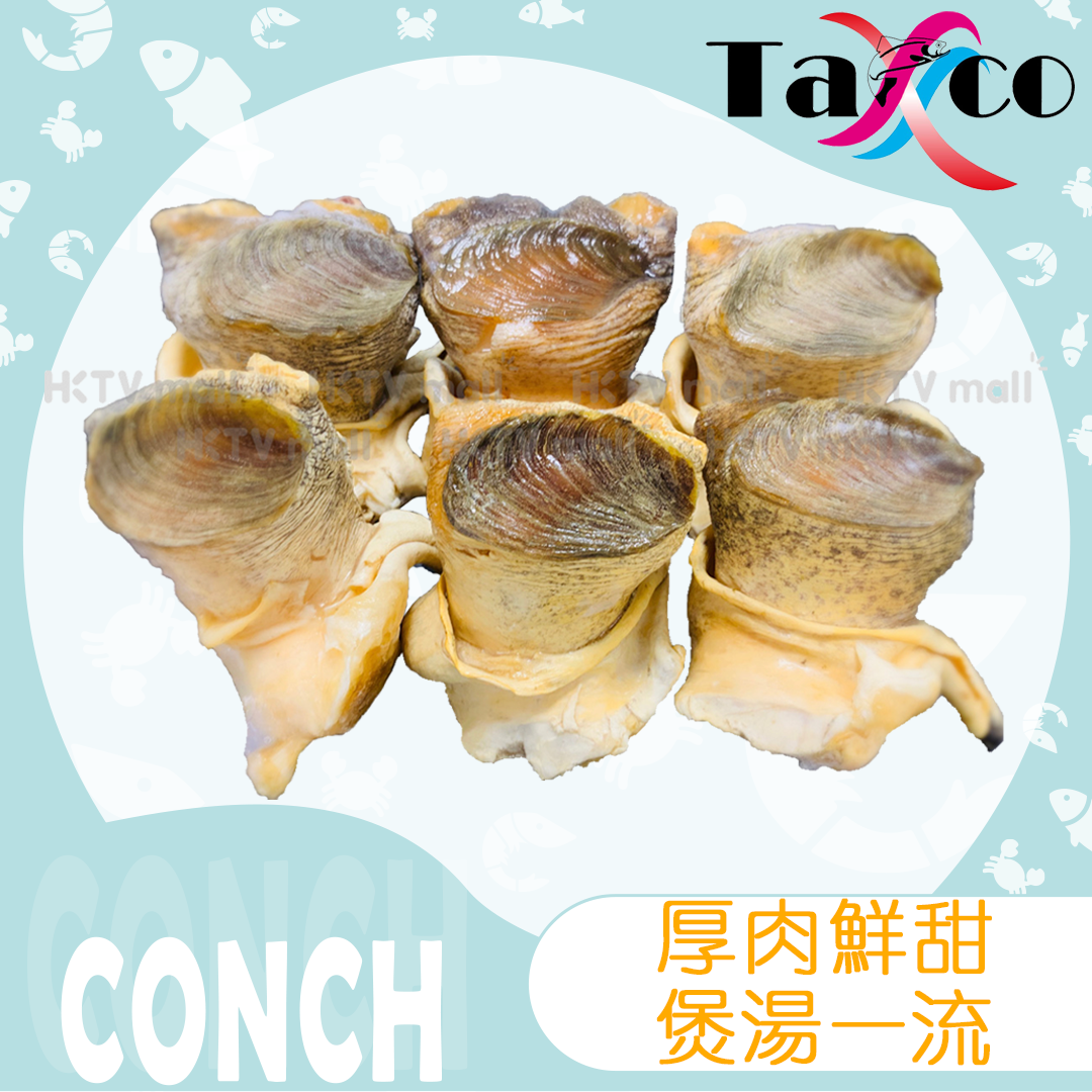US Yellow Conch Meat IQF L (3-4pcs)(Frozen)