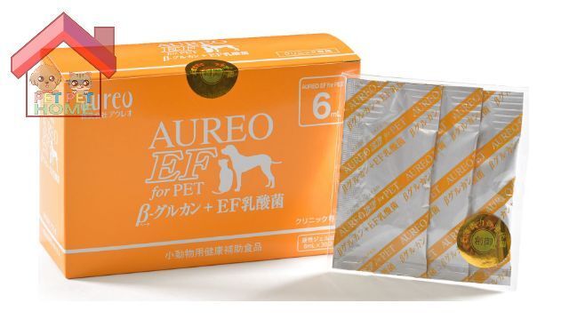 日本黃金黑酵母 6mL (內附30小包) (黃色)  香港行貨