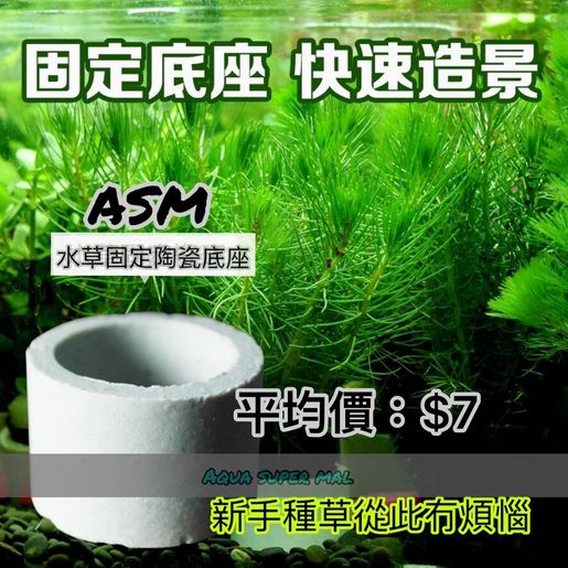 Others Asm Crm00 水草固定陶瓷底座 新手種草簡單易用 Hktvmall 香港最大網購平台