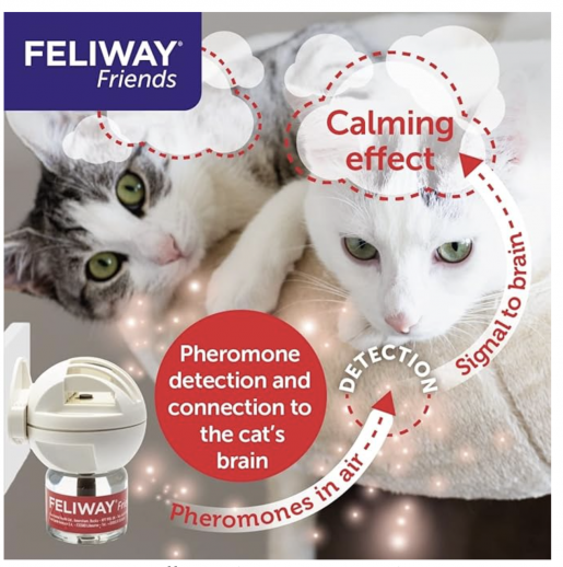 FELIWAY, Feliway Friends 30 Day Starter Kit Diffuser with Refill