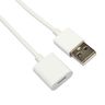 Apple Pencil充電線 蘋果手寫筆1代轉接頭器 Ipad配件USB轉8pin母口1米長 lighting轉