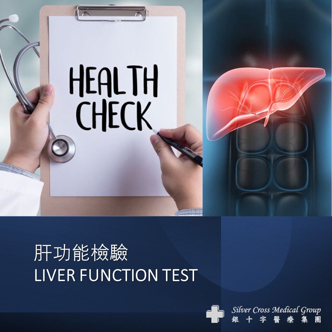 LIVER FUNCTION TEST (#LFT) - 1 Session