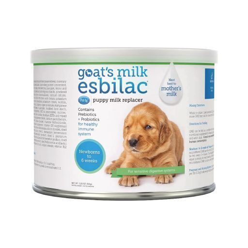 Goat's milk esbilac clearance powder for puppies