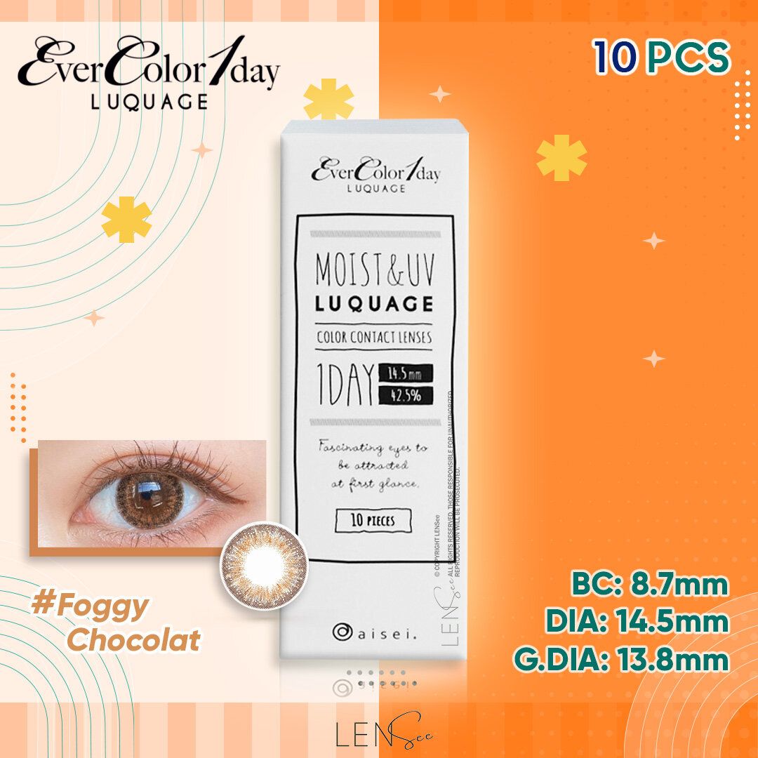 [EL1003] EverColor 1day Luquage Color Contact Lenses - Foggy Chocolat (10Pcs) (P -0.00)