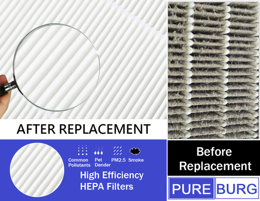 Pureburg Replacement Activated Carbon HEPA Filter for De Longhi