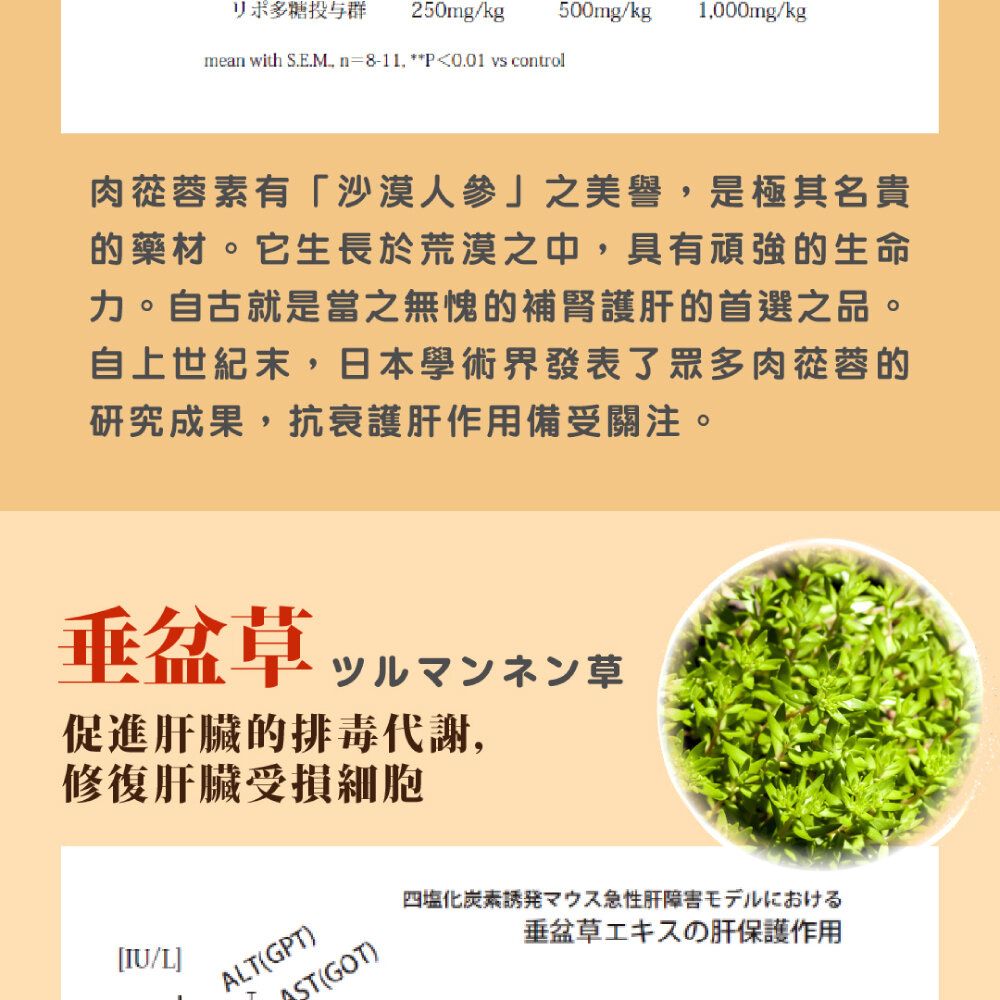 肝解垂盆草2箱 ② - 通販 - hanackenovinky.cz