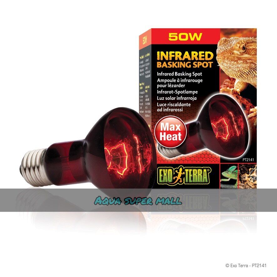 vivarium misting system