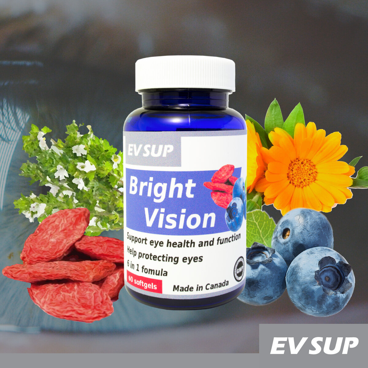 Bright Vision 六合一護眼素 藍莓素 60粒裝