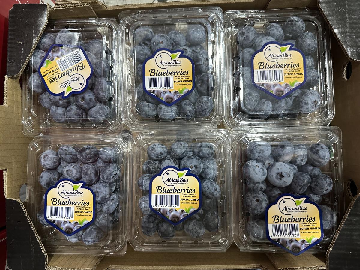 日日鮮果 - 摩洛哥/津巴布韋/秘魯 珍寶藍莓 原箱12盒 (125g x 12)