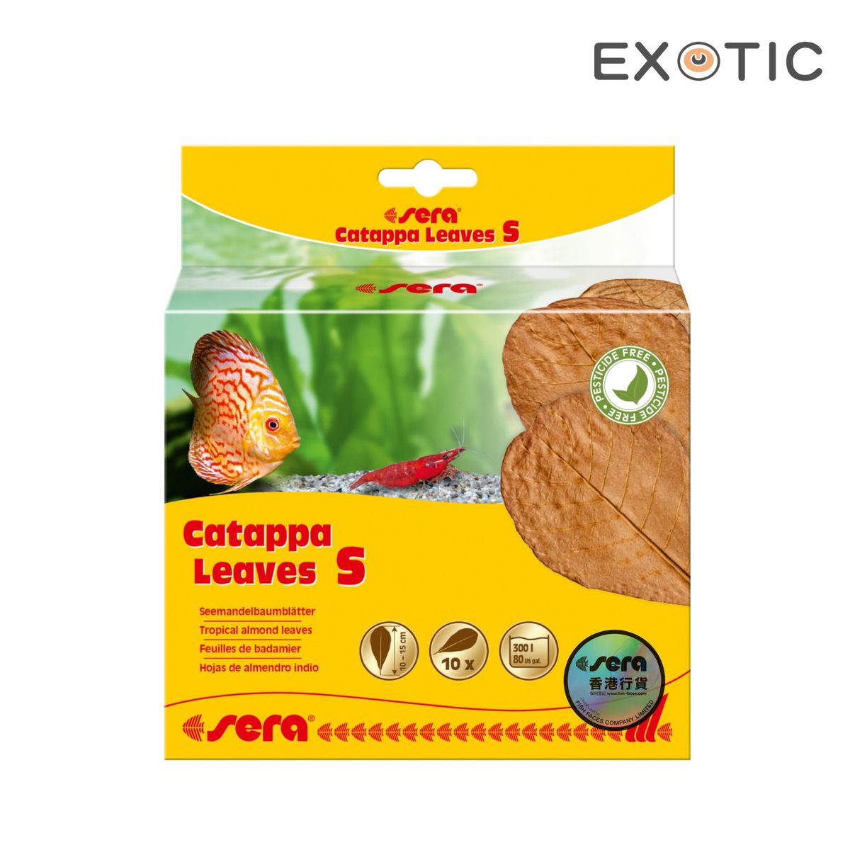 Catappa Leaves (S) (10-15cm) 10pcs