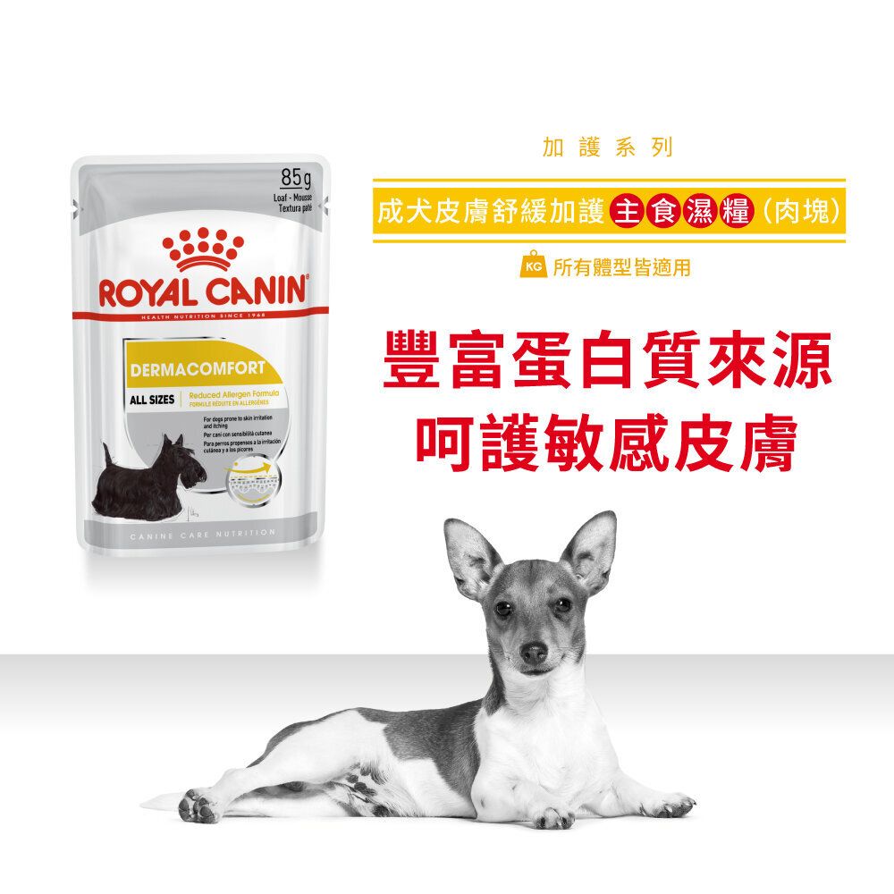 CCN Adult Dog Skin Soothing and Protective Wet Food (Meat Chunks) 85g ROYAL CANIN Dog Wet Food